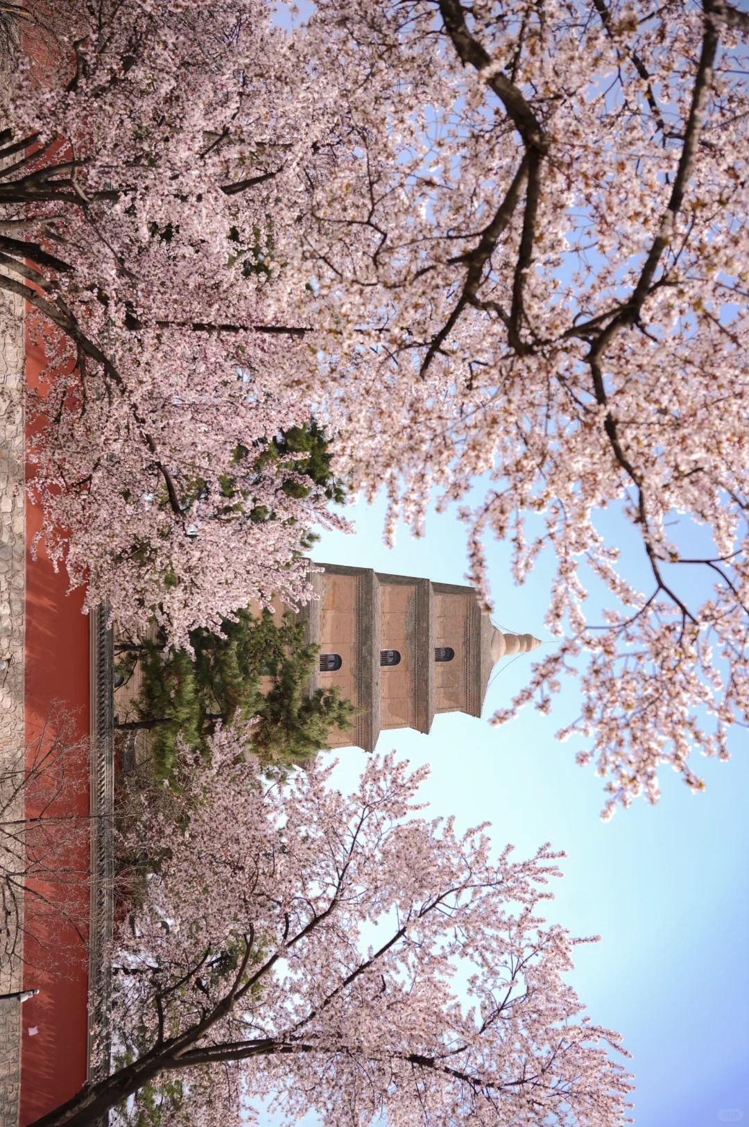 Mini-Group Xi’an Day Tour to Terracotta Army, City Wall, Giant Wild Goose Pagoda and Muslim Bazaar
