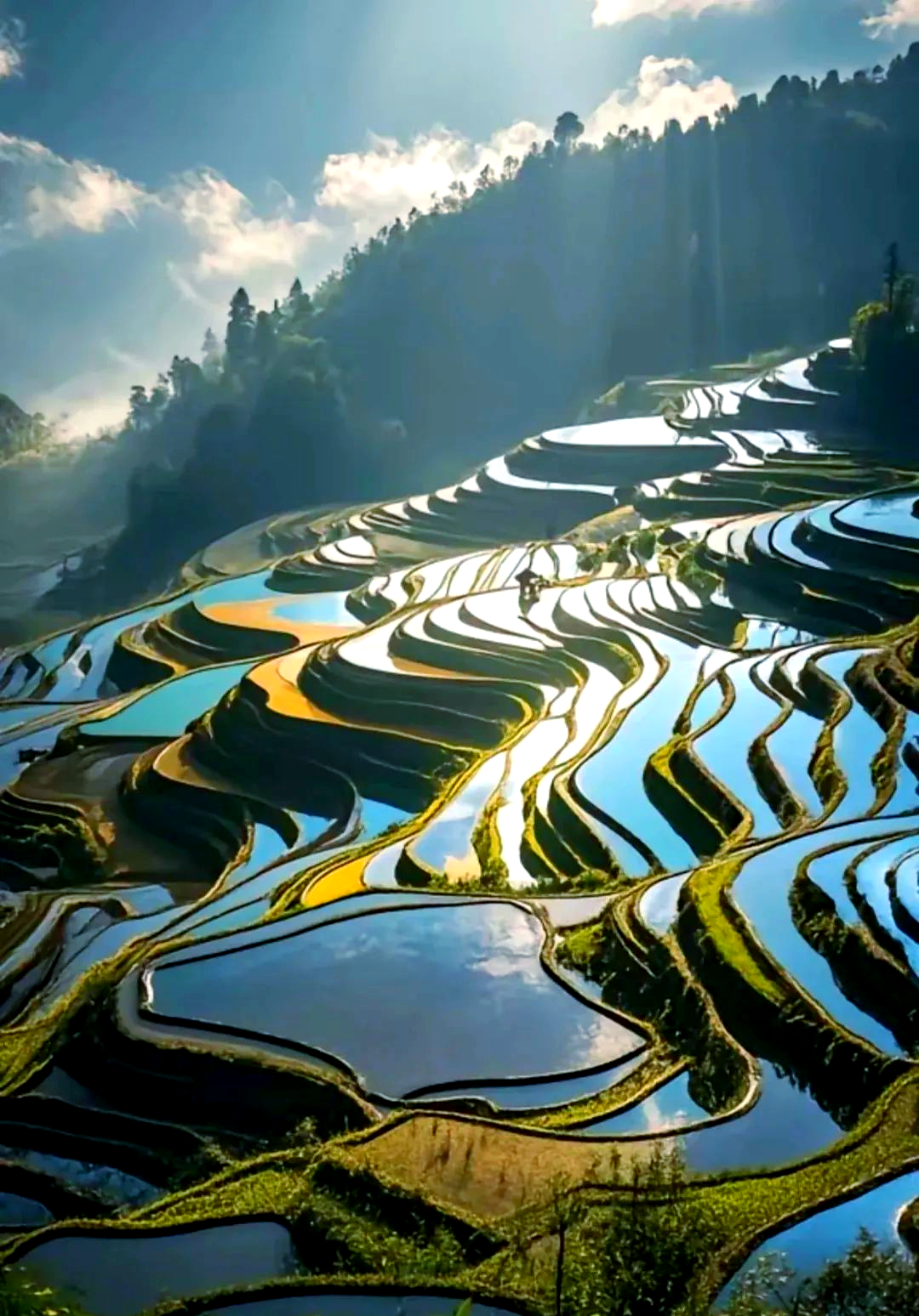 Highlights of China With Yunnan